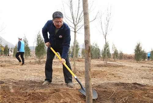 yp街机·电子游戏(中国)官方网站